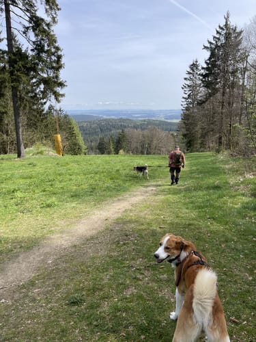 Kirchenlamitz - Wackelstein - Schönburgwarte Rundwanderung