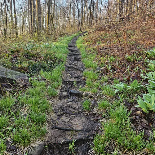 Best Views Trails in Prompton AllTrails