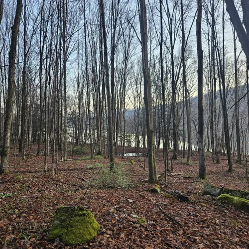 Best Views Trails in Prompton AllTrails