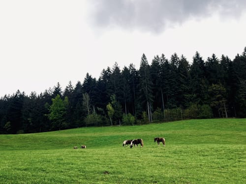 Panoramasteig Patersdorf: Wanderweg 21