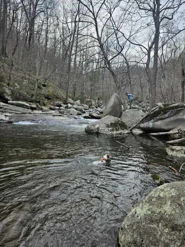 Trout Hike – Rapidan River (VA-Graves Mill) Catchguide Outdoors