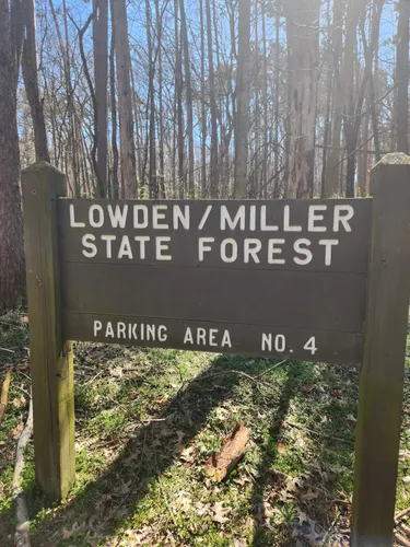 Best Trail Running Trails in Lowden-Miller State Forest | AllTrails