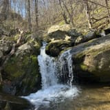 Dark Hollow Falls Trail Virginia - EyJidWNrZXQiOiJhc3NldHMuYWxsdHJhaWxzLmNvbSIsImtleSI6InVwbG9hZHMvcGhvdG8vaW1hZ2UvNzMwNzQ4NjYvMWNlMTkwYTdlMzQ2MmI2Yjc1MDI1ZDU3ZjY2NDQzMTcuanBnIiwiZWRpdHMiOnsidG9Gb3JtYXQiOiJqcGVnIiwicmVzaXplIjp7IndpZHRoIjoxNjAsImhlaWdodCI6MTYwLCJmaXQiOiJjb3ZlciJ9LCJyb3RhdGUiOm51bGwsImpwZWciOnsidHJlbGxpc1F1YW50aXNhdGlvbiI6dHJ1ZSwib3ZlcnNob290RGVyaW5naW5nIjp0cnVlLCJvcHRpbWlzZVNjYW5zIjp0cnVlLCJxdWFudGlzYXRpb25UYWJsZSI6M319fQ==