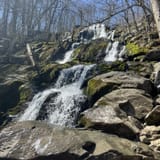 Dark Hollow Falls Trail Virginia - EyJidWNrZXQiOiJhc3NldHMuYWxsdHJhaWxzLmNvbSIsImtleSI6InVwbG9hZHMvcGhvdG8vaW1hZ2UvNzMwNzQ4NjcvZTVjMjQ5MGZiMThkNzg1MTBjYTgwYjVhOGFjZDhkNjQuanBnIiwiZWRpdHMiOnsidG9Gb3JtYXQiOiJqcGVnIiwicmVzaXplIjp7IndpZHRoIjoxNjAsImhlaWdodCI6MTYwLCJmaXQiOiJjb3ZlciJ9LCJyb3RhdGUiOm51bGwsImpwZWciOnsidHJlbGxpc1F1YW50aXNhdGlvbiI6dHJ1ZSwib3ZlcnNob290RGVyaW5naW5nIjp0cnVlLCJvcHRpbWlzZVNjYW5zIjp0cnVlLCJxdWFudGlzYXRpb25UYWJsZSI6M319fQ==