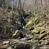 Dark Hollow Falls Trail Virginia - EyJidWNrZXQiOiJhc3NldHMuYWxsdHJhaWxzLmNvbSIsImtleSI6InVwbG9hZHMvcGhvdG8vaW1hZ2UvNzMwNzQ4NjkvNTRlMmEzYWNlZWVkMjA0NDY1M2E1ZDE3M2Y0ZGU5ZDUuanBnIiwiZWRpdHMiOnsidG9Gb3JtYXQiOiJqcGVnIiwicmVzaXplIjp7IndpZHRoIjoxNjAsImhlaWdodCI6MTYwLCJmaXQiOiJjb3ZlciJ9LCJyb3RhdGUiOm51bGwsImpwZWciOnsidHJlbGxpc1F1YW50aXNhdGlvbiI6dHJ1ZSwib3ZlcnNob290RGVyaW5naW5nIjp0cnVlLCJvcHRpbWlzZVNjYW5zIjp0cnVlLCJxdWFudGlzYXRpb25UYWJsZSI6M319fQ==