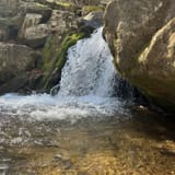 Dark Hollow Falls Trail Virginia - EyJidWNrZXQiOiJhc3NldHMuYWxsdHJhaWxzLmNvbSIsImtleSI6InVwbG9hZHMvcGhvdG8vaW1hZ2UvNzMwNzQ4NzQvMDAwYWU0ZDA2ZTI5MzM1ZmEyZmIwZDIwOGM1ZmU3ZTguanBnIiwiZWRpdHMiOnsidG9Gb3JtYXQiOiJqcGVnIiwicmVzaXplIjp7IndpZHRoIjoxNjAsImhlaWdodCI6MTYwLCJmaXQiOiJjb3ZlciJ9LCJyb3RhdGUiOm51bGwsImpwZWciOnsidHJlbGxpc1F1YW50aXNhdGlvbiI6dHJ1ZSwib3ZlcnNob290RGVyaW5naW5nIjp0cnVlLCJvcHRpbWlzZVNjYW5zIjp0cnVlLCJxdWFudGlzYXRpb25UYWJsZSI6M319fQ==