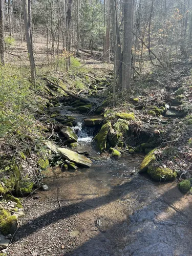 Best Hikes and Trails in Honesdale | AllTrails