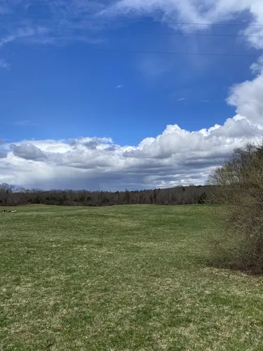 Best Historic Site Trails in Medfield | AllTrails