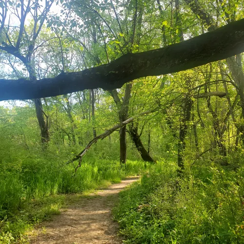 Best Hikes and Trails in Locust | AllTrails