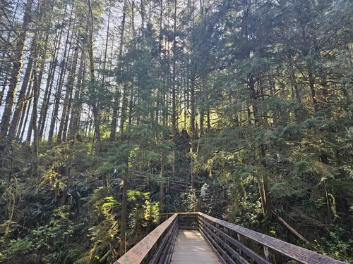 Best Hikes and Trails in Wallace - EyJidWNrZXQiOiJhc3NldHMuYWxsdHJhaWxzLmNvbSIsImtleSI6InVwbG9hZHMvcGhvdG8vaW1hZ2UvNzMwOTI3NjUvYjBlYzFjNWRiMDk2MTVjZDYxZGM2NmUzN2FlMmUxNzcuanBnIiwiZWRpdHMiOnsidG9Gb3JtYXQiOiJ3ZWJwIiwicmVzaXplIjp7IndpZHRoIjo1MDAsImhlaWdodCI6NTAwLCJmaXQiOiJpbnNpZGUifSwicm90YXRlIjpudWxsLCJqcGVnIjp7InRyZWxsaXNRdWFudGlzYXRpb24iOnRydWUsIm92ZXJzaG9vdERlcmluZ2luZyI6dHJ1ZSwib3B0aW1pc2VTY2FucyI6dHJ1ZSwicXVhbnRpc2F0aW9uVGFibGUiOjN9fX0=