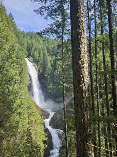 Best Hikes and Trails in Wallace - EyJidWNrZXQiOiJhc3NldHMuYWxsdHJhaWxzLmNvbSIsImtleSI6InVwbG9hZHMvcGhvdG8vaW1hZ2UvNzMwOTI3NjkvZDEzNWEzM2ZkOGNlMDdjODUxNzA3OWU3Y2RlN2ZiYTAuanBnIiwiZWRpdHMiOnsidG9Gb3JtYXQiOiJ3ZWJwIiwicmVzaXplIjp7IndpZHRoIjo1MDAsImhlaWdodCI6NTAwLCJmaXQiOiJpbnNpZGUifSwicm90YXRlIjpudWxsLCJqcGVnIjp7InRyZWxsaXNRdWFudGlzYXRpb24iOnRydWUsIm92ZXJzaG9vdERlcmluZ2luZyI6dHJ1ZSwib3B0aW1pc2VTY2FucyI6dHJ1ZSwicXVhbnRpc2F0aW9uVGFibGUiOjN9fX0=