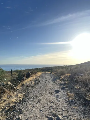 Best Trail Running Trails in Área de Protección de Flora y Fauna ...