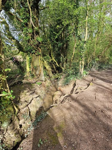 Glapwell mtb trail hotsell