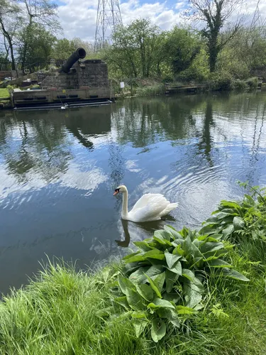 Best Hikes and Trails in Gunpowder Park | AllTrails