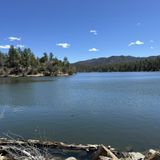 Lynx Lake Loop Trail, Arizona - 2,289 Reviews, Map | AllTrails