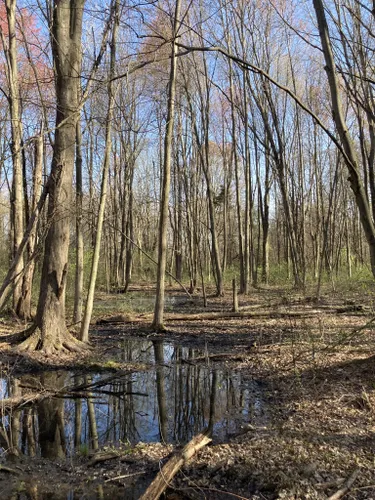 Best Hikes And Trails In Cobus Creek County Park 