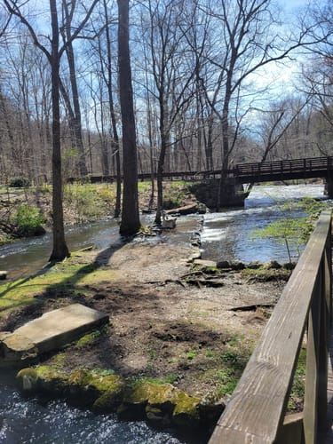 Best mountain biking trails in Stephens State Park AllTrails