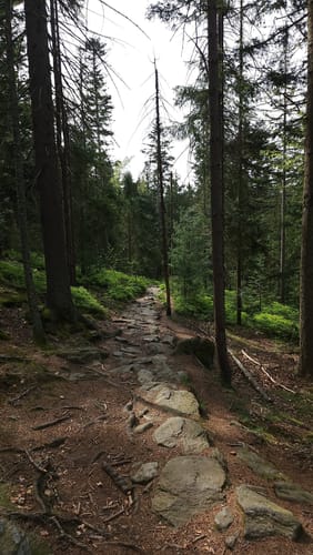 Osserpfad (Lo01)