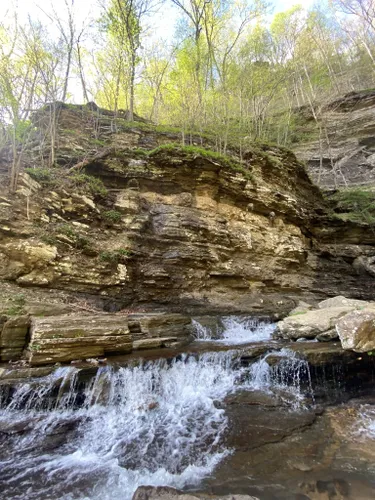 Best Hikes and Trails in Gauley Bridge | AllTrails