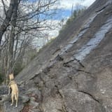 Butter Gap to Cat Gap Trail, North Carolina - 508 Reviews, Map | AllTrails