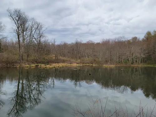 Best Forest Trails in Frances Slocum State Park | AllTrails