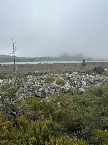 Best Lake Trails in Central Plateau Conservation Area AllTrails