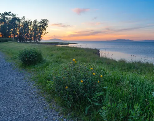 Best Kid Friendly Trails in Point Pinole Regional Park | AllTrails