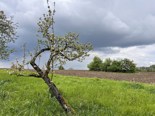 Malsch Kreuzweg