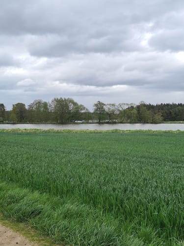 Büchsenweiherweg