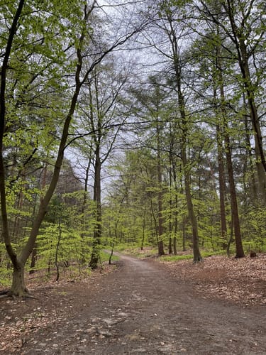 Wander-Tour Harburger Berge (W1)