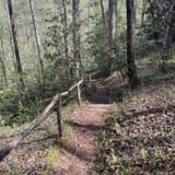 Holmes Educational State Forest Loop, North Carolina 185 Reviews, Map