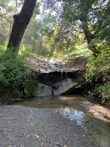 Best Horseback Riding Trails in San Ramon | AllTrails