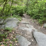 Double Rock Park Trail, Maryland - 1,037 Reviews, Map | AllTrails