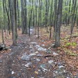 Raven Rocks via Appalachian Trail, Virginia - 5,954 Reviews, Map ...