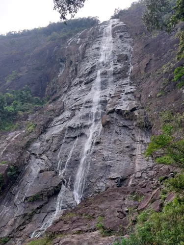 Rhododendron Falls - hikes and trails to get you there | AllTrails