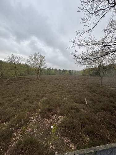 Naherholungsgebiet Eibia/Lohheide ab Cordinger Mühle