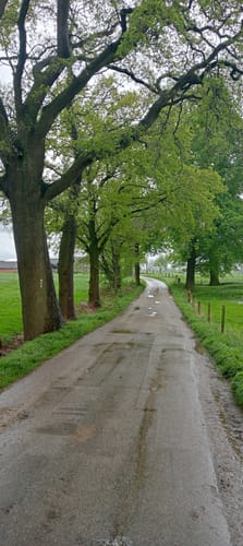 Haldern Rundweg A6