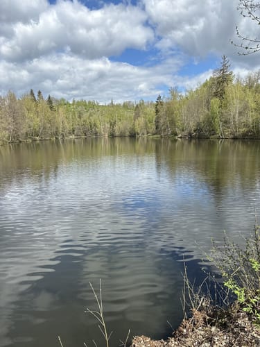 Selketal-Stieg Etappe 1: Stiege - Alexisbad