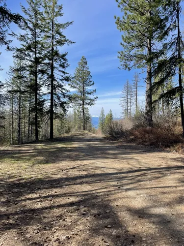 Best Trail Running Trails In Kaniksu National Forest Alltrails