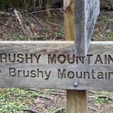 Brushy Mountain Trail, Tennessee - 198 Reviews, Map | AllTrails