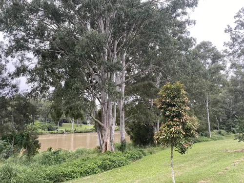 Best Hikes and Trails in Rocks Riverside Park | AllTrails