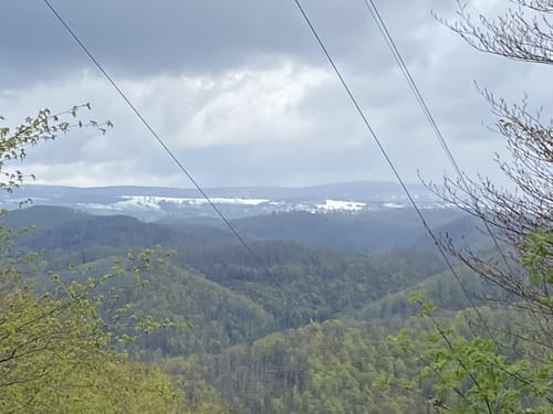 Scholben, Köhlerhütte und Wiesenbeker Teich ab Bad Lauterberg