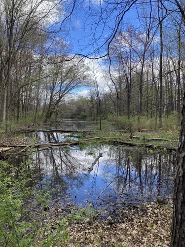 Best Walking Trails in Granger | AllTrails