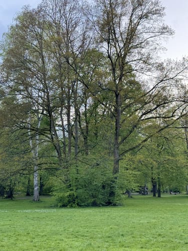 Durch den Volkspark in Kaiserslautern