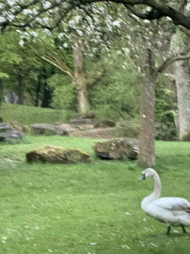 Durch den Volkspark in Kaiserslautern