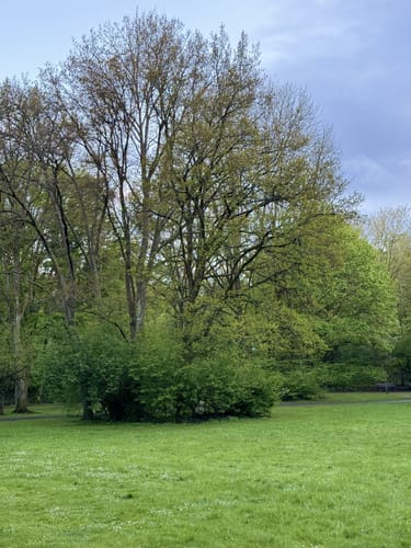 Durch den Volkspark in Kaiserslautern
