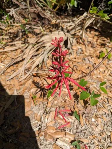 Best Hikes and Trails in Spruce Creek Preserve | AllTrails