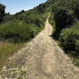Whiting Ranch Trail, California - 1,841 Reviews, Map | AllTrails