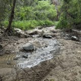 Whiting Ranch Trail, California - 1,748 Reviews, Map | AllTrails