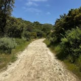 Whiting Ranch Trail, California - 1,841 Reviews, Map | AllTrails